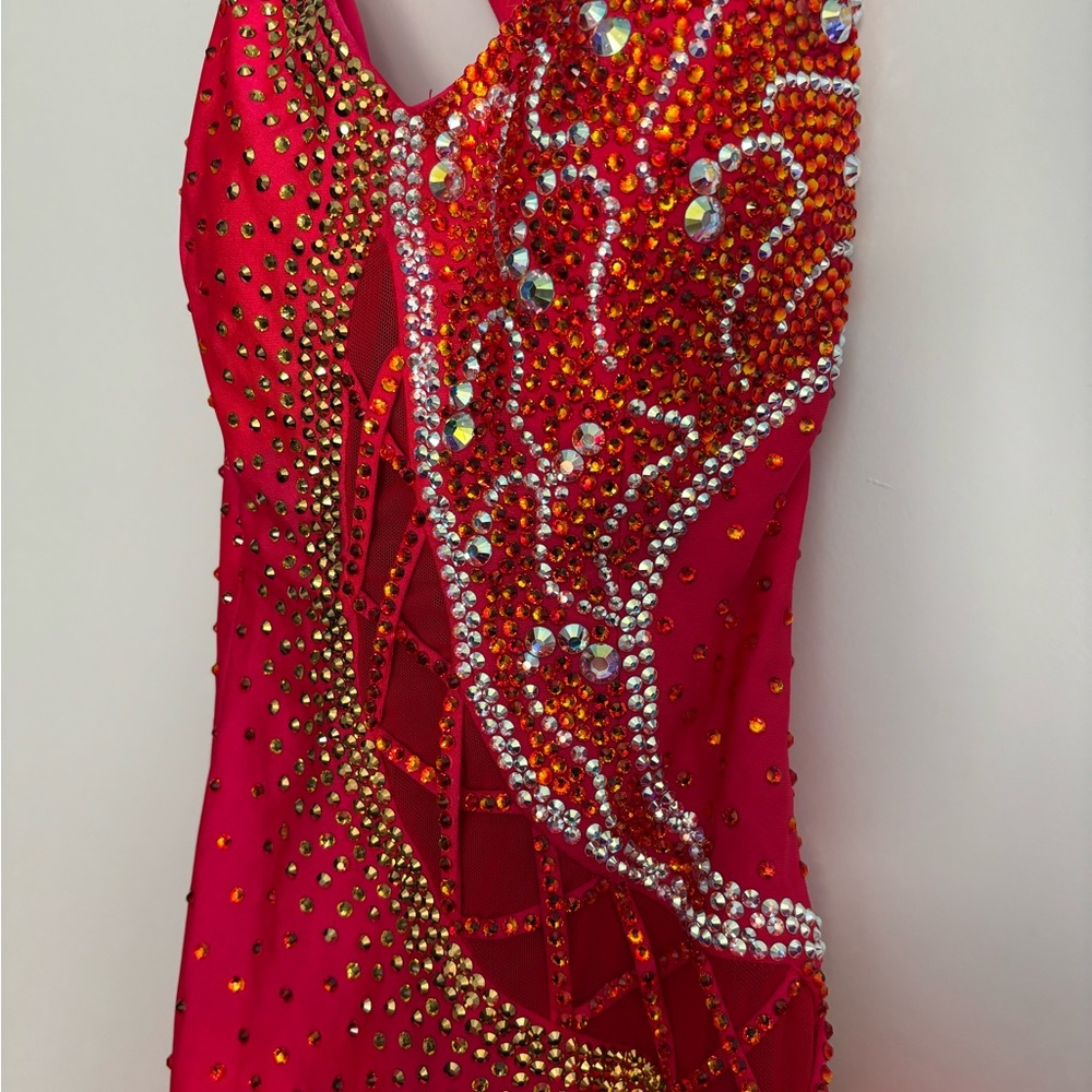 Latin Rhythm Competition Dress - Picture 10 of 10